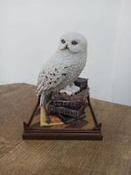 Harry Potter, Magical Creature Statue of Harry Potters owl, Collections