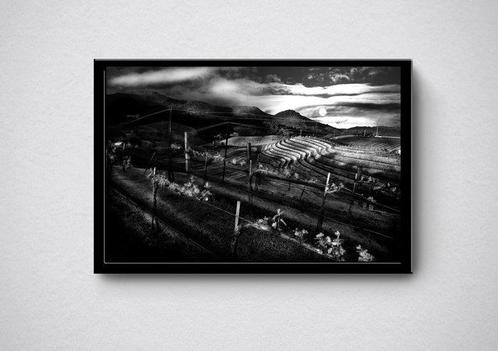 Nuikki - Napa Valley, Antiek en Kunst, Kunst | Schilderijen | Modern