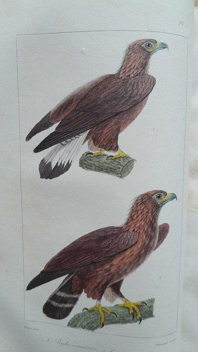 Buffon - Oeuvres complètes. Tome 15,les oiseaux-tome 5 ,les, Antiek en Kunst, Antiek | Boeken en Manuscripten