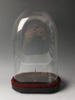 Stolp - Glas, Hout - 1850-1900 - Mondgeblazen stolp, Antiek en Kunst