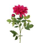 Grote DAHLIA vertakt Pink /st Grote DAHLIA vertakt Pink