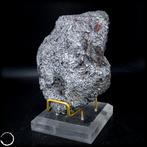 Météorite naturelle rare de Campo Del Cielo Météorite de
