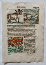 Conrad Lycosthenes - Prodigiorum ac Ostentorum Chronicon -