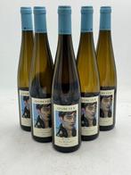 2023 Josmeyer, Riesling Le Kottabe - Elzas - 6 Flessen, Nieuw