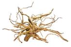 Spiderwood - Red moor wood klein, Dieren en Toebehoren, Vissen | Aquaria en Toebehoren, Nieuw, Verzenden