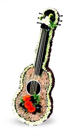 Akoestische gitaar steekschuimvorm