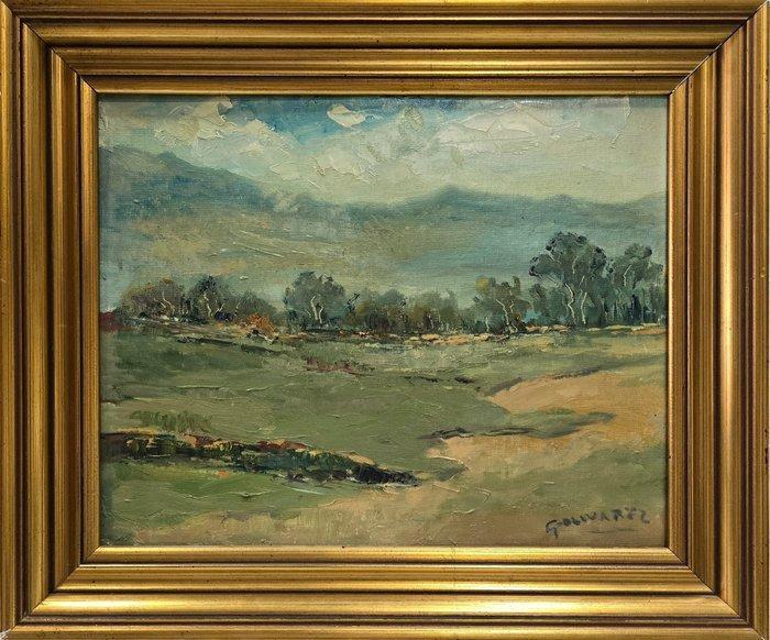 José Olivares (1942-2022) - Campos de eternidad, Antiek en Kunst, Kunst | Schilderijen | Klassiek