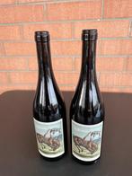 2023 Philine Isabelle & Lalu’ Cavallo Scosso Nebbiolo -, Verzamelen, Nieuw