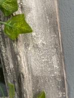 Vitrinelijst - Hout