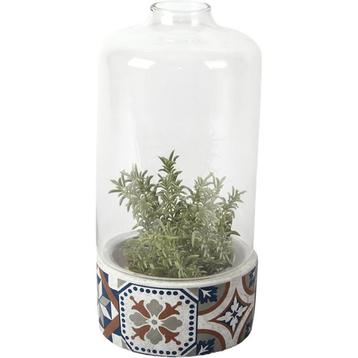 Esschert Design - glazen Kweekklok - cactus vaas -, Verzenden