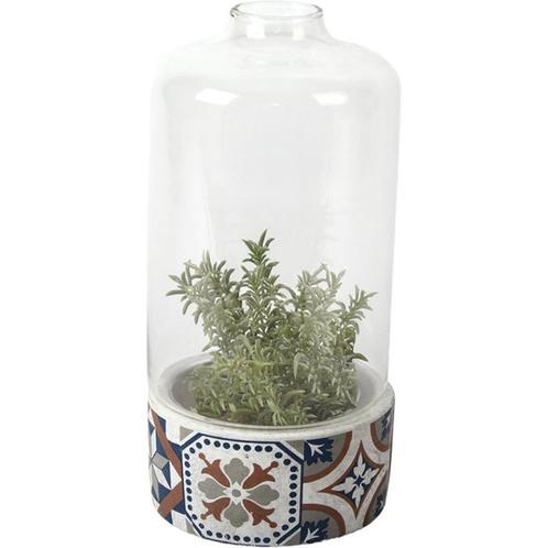 Esschert Design - glazen Kweekklok - cactus vaas -, Huis en Inrichting, Woonaccessoires | Vazen, Verzenden