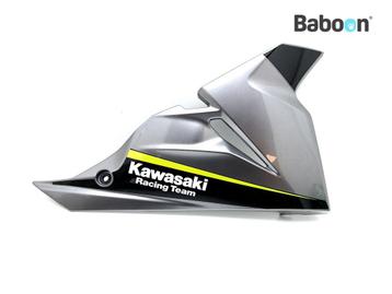 Onderkuip Rechts Kawasaki NINJA 125 2019 (BX125), Verzenden