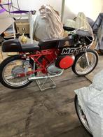 Motobi - Motobi - Zanzani Racer - 175 cc - 1968, Motoren