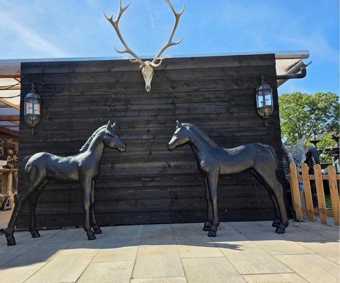 Beeld, XL Set - Horses - 143 cm - Hars - 2025, Antiek en Kunst, Curiosa en Brocante