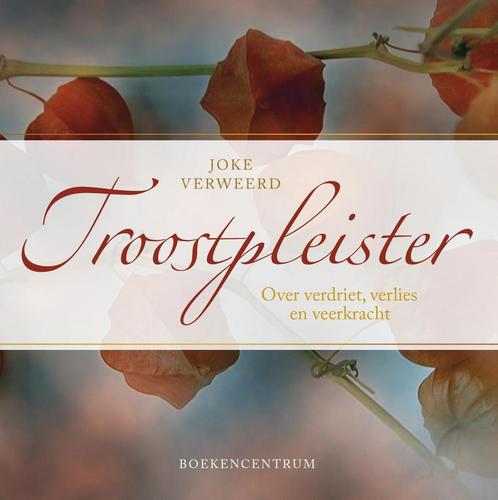 Troostpleister 9789023952664 Joke Verweerd, Boeken, Politiek en Maatschappij, Zo goed als nieuw, Verzenden