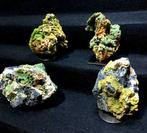 Piromorfite Sardaigne Botryoidal - Hauteur : 20 cm - Largeur