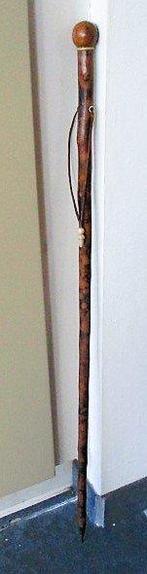 Wandelstok - zeer hard , onbuigzaam , van nature gevlekt
