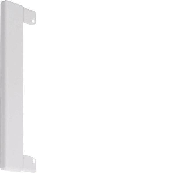 Hager Tehalit Plaque à bride Canal mural - BR100WK9016, Bricolage & Construction, Électricité & Câbles, Envoi