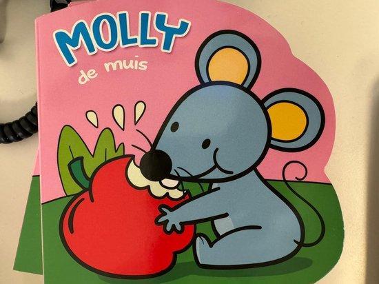 Molly de muis - boekje 8717796056426, Boeken, Overige Boeken, Gelezen, Verzenden