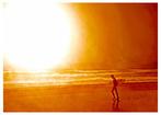 Roberto Cavalli (1971) - Into the wild / surf sun ocean #528