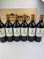 2021 Château Talbot - Bordeaux, Saint-Julien 4ème Grand Cru, Verzamelen, Wijnen, Nieuw