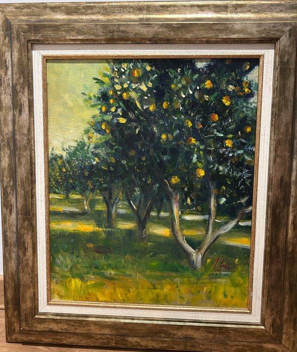 Spaanse school (XX) - Limoneros de Sóller, Antiek en Kunst, Kunst | Schilderijen | Klassiek