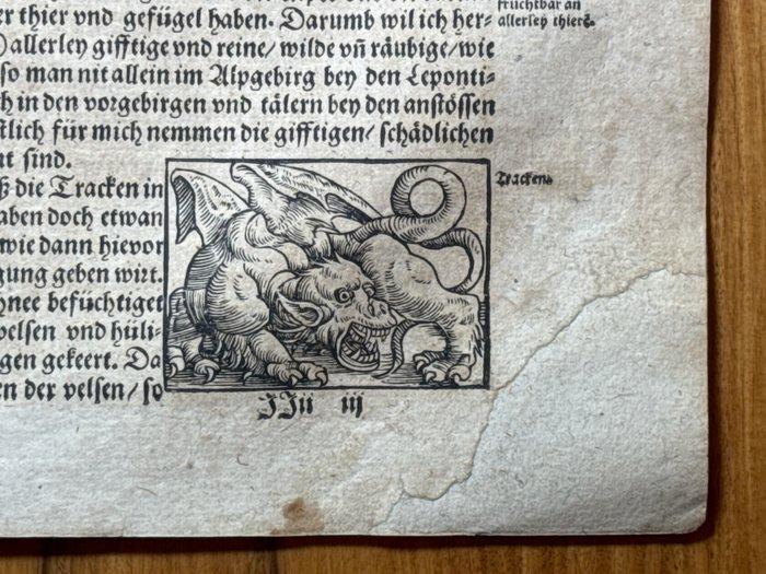 Stumpf, Johannes. - 37 Holzschnitte auf 7 Blättern Tiere in, Antiek en Kunst, Antiek | Boeken en Manuscripten