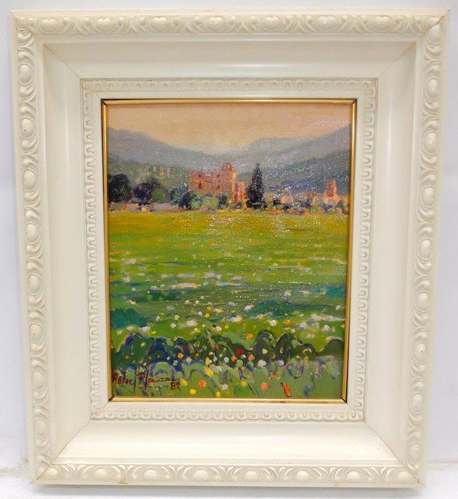 Rafael Plaza (1952) - Paisaje del Ampurdán, Antiek en Kunst, Kunst | Schilderijen | Klassiek