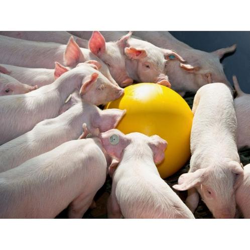 Anti-stress-bal v. biggen d = 30cm / in doos - kerbl, Zakelijke goederen, Landbouw | Veevoer