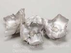 Palm Cup White Pearl 10 stuks, Nieuw