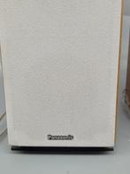 Panasonic – 2-Wege Lautsprechersystem – Bassreflex - SB-PM31