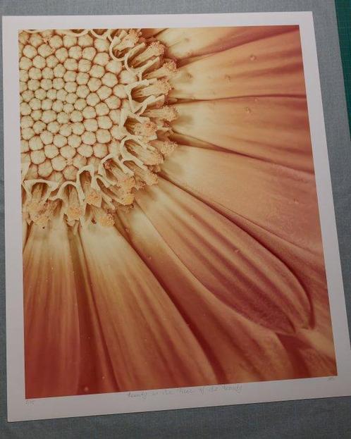 Inna Etuvgi - Beauty in the Piece of the Beauty, Antiek en Kunst, Kunst | Schilderijen | Modern