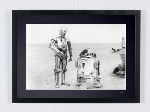 Star Wars Episode IV: A New Hope -  R2-D2 & C-3PO - Droids -, Verzamelen, Film en Tv