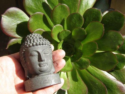 SHUNGITE Haute Énergie BOUDDHA (83mm) - PROTECTION WIFI- 160, Verzamelen, Mineralen en Fossielen