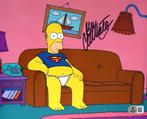 The Simpsons - Homer Simpson (Original Voice Dan, Cd's en Dvd's, Nieuw in verpakking