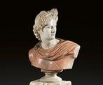 Buste, Apollo Belvedere - 79 cm - Marmer