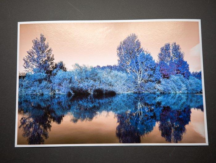 Viet Ha Tran - Nature and Seasons VI, Antiquités & Art, Art | Objets design