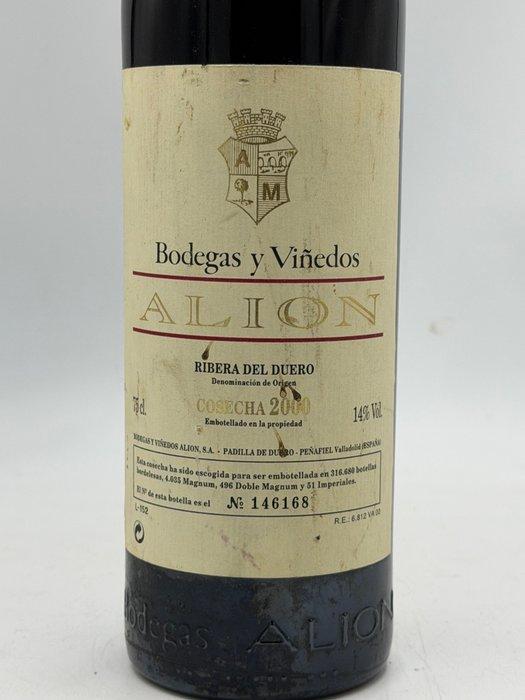 2000 Bodegas y Viñedos Alion - Ribera del Duero - 1 Fles, Verzamelen, Wijnen