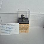 Prachtige Campo Del Cielo ijzer meteoriet - Op mooie sokkel