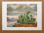 René Magritte (1898-1967) - LÎle mystérieuse, 1979, Antiek en Kunst