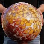 Grote rode en gele koningscobra Jasper-Museumformaat met