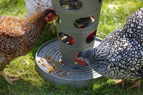Beeztees voertoren 100% gerecycleerd, Dieren en Toebehoren, Pluimvee | Toebehoren, Nieuw