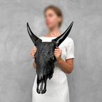 GEEN MINIMUMVERKOOPPRIJS - Handgesneden zwarte koeienschedel, Antiek en Kunst