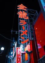 Dominik Valvo - Osaka Neon Ligths (Japan 2023) XL, Verzamelen