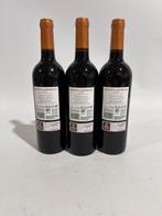 2019 Marqués de Murrieta - Rioja Reserva - 3 Flessen (0.75, Verzamelen, Wijnen, Nieuw