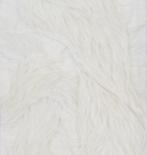 Javier León Pérez - Voluta III, Antiquités & Art