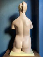 Anatomisch model - kunststof - 1960-1970 - 3B Scientific