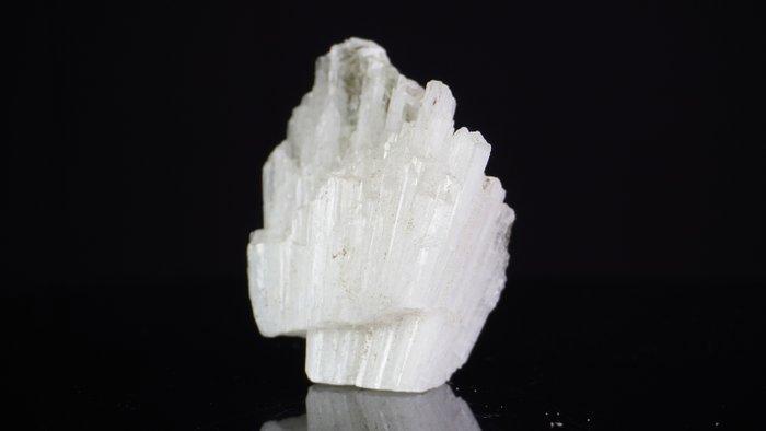 Scolecite Cluster - Mesoliet - Mineralen Exemplaar - Hoogte:, Verzamelen, Mineralen en Fossielen