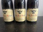2002 Gérard Julien - Nuits St. Georges - 3 Bouteilles (0,75, Verzamelen, Nieuw