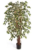 Kunstplant Ficus Liana Mixed 210 cm, Maison & Meubles, Verzenden